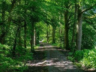 Parc de vacances Ouderkerk aan de Amstel Environnement 35