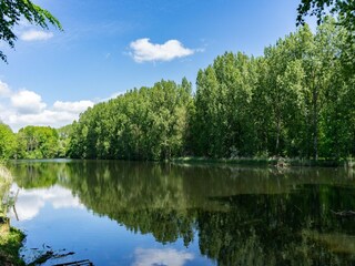 Parc de vacances Ouderkerk aan de Amstel Environnement 31