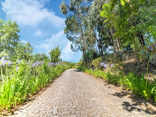 Ferienpark Paredes Umgebung 19