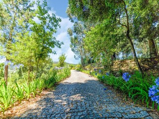 Vakantiepark Paredes Omgeving 27