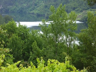 Ferienpark Paredes Umgebung 25