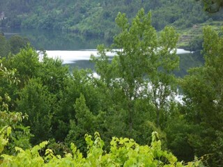 Parc de vacances Paredes Environnement 25