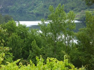 Parco vacanze Paredes Ambiente 24