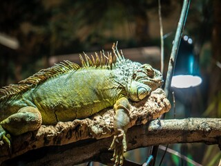 Parco vacanze Weißenhäuser Strand Ambiente 15