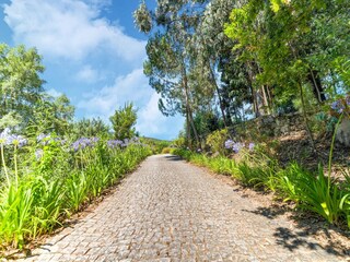 Parc de vacances Paredes Environnement 22