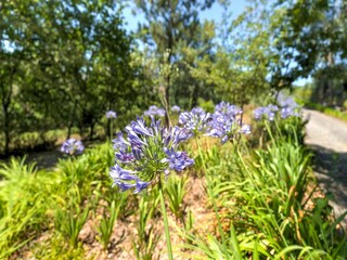 Holiday park Paredes  39