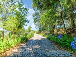 Ferienpark Paredes Umgebung 35