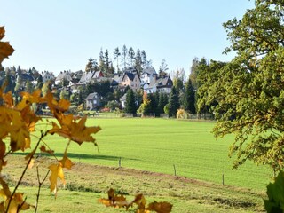 Holiday park Ellefeld Environment 11