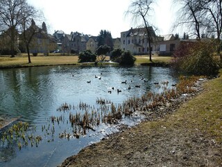 Parque de vacaciones Ellefeld Entorno 13