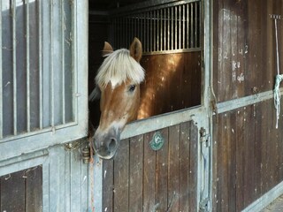 Casa per le vacanze Hechthausen  40