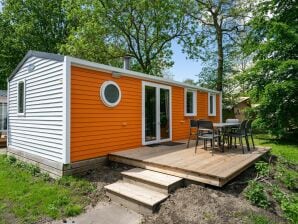 Chalet coloré avec WiFi, dans un parc de vacances près d'Amsterdam - Auderkerk sur l'Amstel - image1