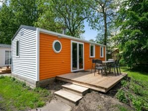 Ferienpark Buntes Chalet in der Nähe von Amsterdam - Ouderkerk aan de Amstel - image1