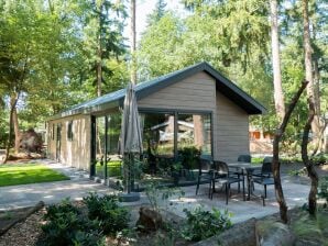 Vakantiepark Modern chalet met afwasmachine - Lunteren - image1