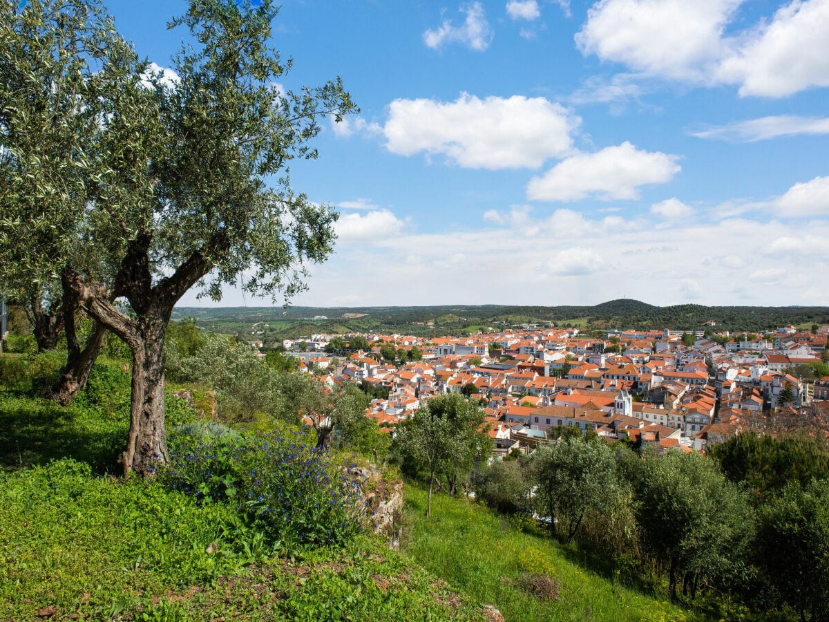 Ferienpark Montemor-o-Novo Umgebung 31