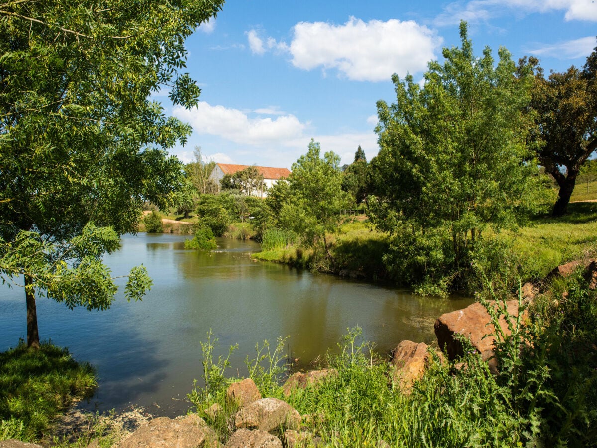 Ferienpark Montemor-o-Novo Umgebung 32