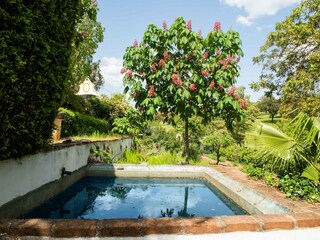 Parque de vacaciones Montemor-o-Novo Grabación al aire libre 8