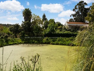 Parque de vacaciones Montemor-o-Novo Entorno 34