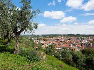Ferienpark Montemor-o-Novo Umgebung 36