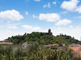 Vakantiepark Montemor-o-Novo Omgeving 32