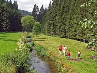 Parque de vacaciones Mühlental Entorno 16