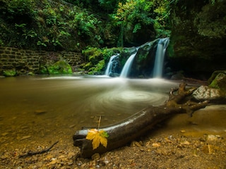 Parc de vacances Mühlental Environnement 17