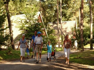 Vakantiepark Geldrop-Mierlo Omgeving 15