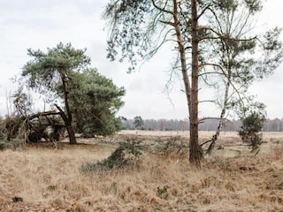 Parc de vacances Geldrop-Mierlo Environnement 17