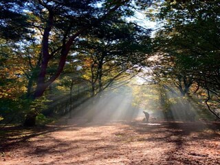 Parc de vacances Geldrop-Mierlo  29