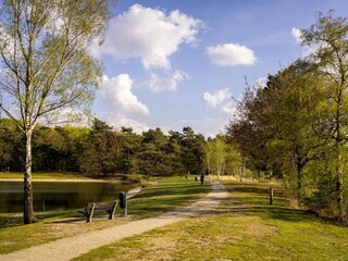 Holiday park Geldrop-Mierlo  39