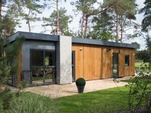 Holiday park Chalet in der Nähe des Nationalparks De Veluwe - Lunteren - image1