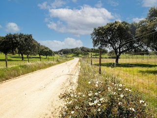 Vakantiepark Montemor-o-Novo Omgeving 30
