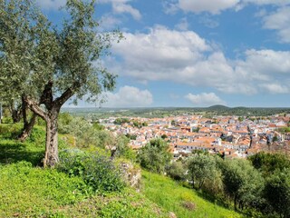 Parque de vacaciones Montemor-o-Novo Entorno 27