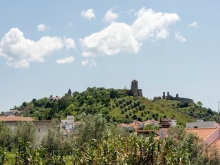 Vakantiepark Montemor-o-Novo Omgeving 32