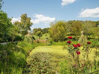 Vakantiepark Montemor-o-Novo Omgeving 30