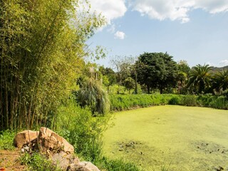 Vakantiepark Montemor-o-Novo Omgeving 35