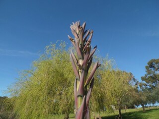 Parque de vacaciones Montemor-o-Novo Características 13