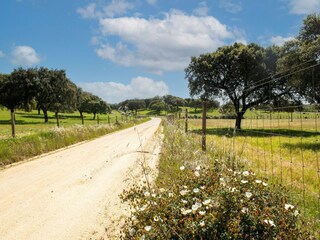 Vakantiepark Montemor-o-Novo Omgeving 31