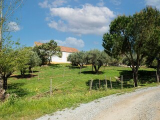 Vakantiepark Montemor-o-Novo Omgeving 32