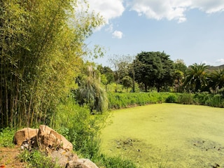 Ferienpark Montemor-o-Novo Umgebung 33
