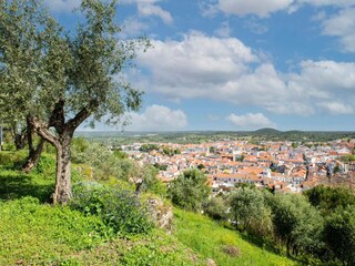 Parc de vacances Montemor-o-Novo Environnement 37