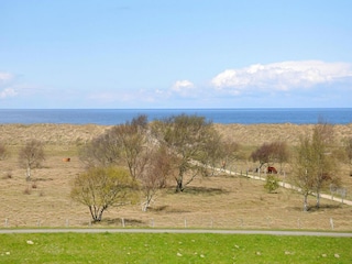Vakantiepark Weißenhäuser Strand Omgeving 12