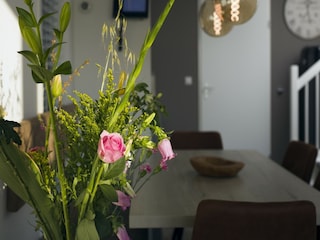 Holiday park Hoek van Holland  40