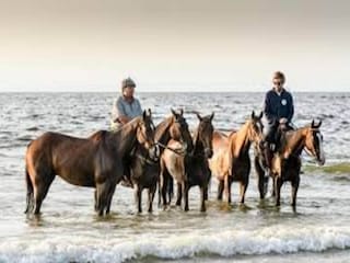 Ferienpark Hoek van Holland Umgebung 35