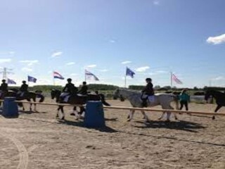 Vakantiepark Hoek van Holland Omgeving 33