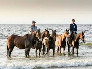 Parque de vacaciones Hoek van Holland Entorno 38
