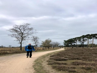 Vakantiepark Geldrop-Mierlo Omgeving 19