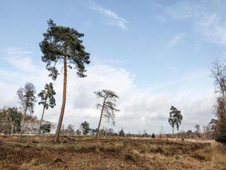 Vakantiepark Geldrop-Mierlo Omgeving 17