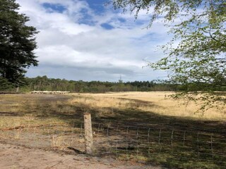 Parc de vacances Geldrop-Mierlo Environnement 21
