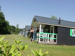 Ferienpark Chalet mit Geschirrspüler in natürlicher Umgebung - IJhorst - image1