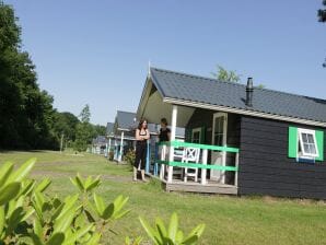 Ferienpark Chalet mit Geschirrspüler in natürlicher Umgebung - IJhorst - image1